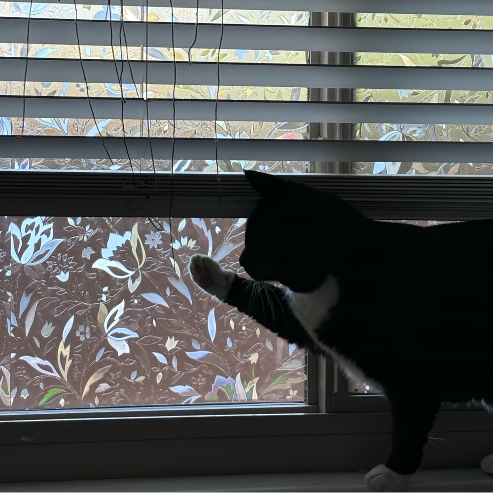 Meet your Posher, Emma